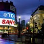 Picadilly Circus  Picadilly Circus : Londres